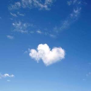 Meet your Posher, Rose